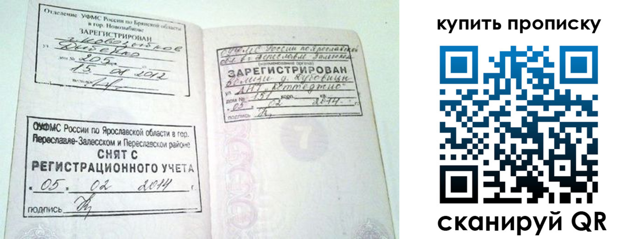 прописка ребенка в Дмитрове